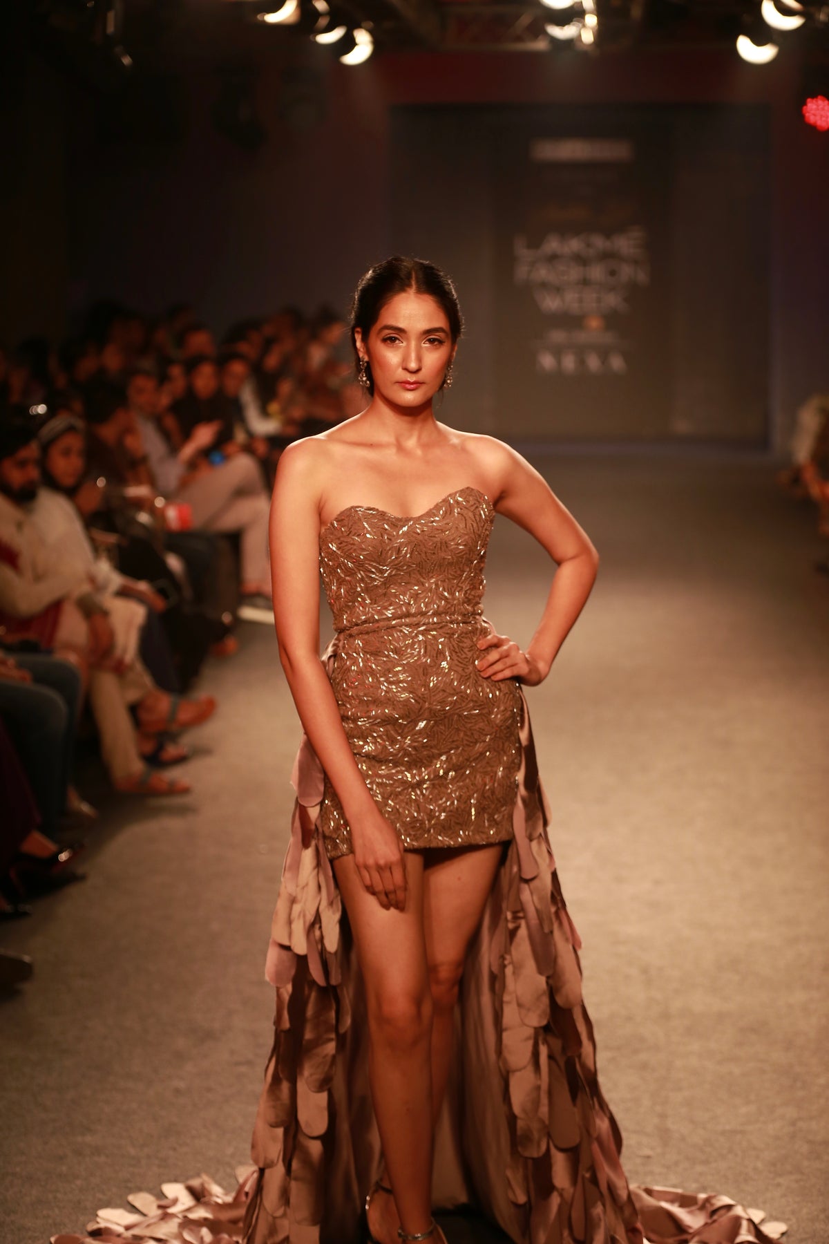 Gold Silver Dress - Embroidered Short Party Wear