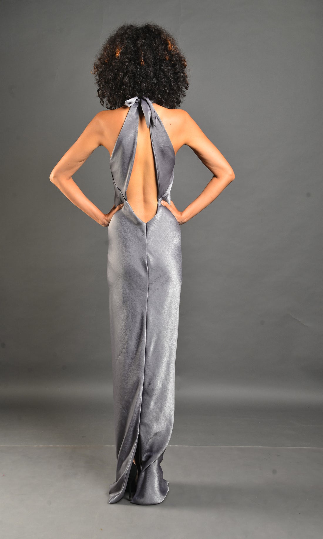 Silver Embellished Gown