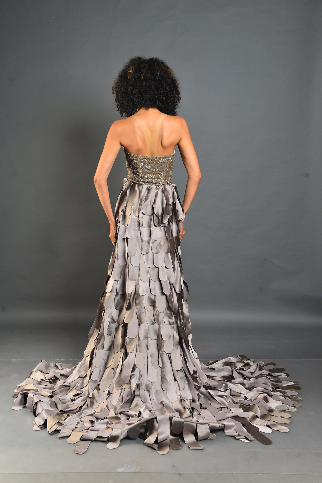 Gold Silver Dress - Embroidered Short Party Wear
