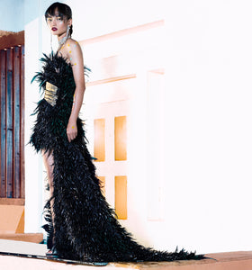Feather Gown
